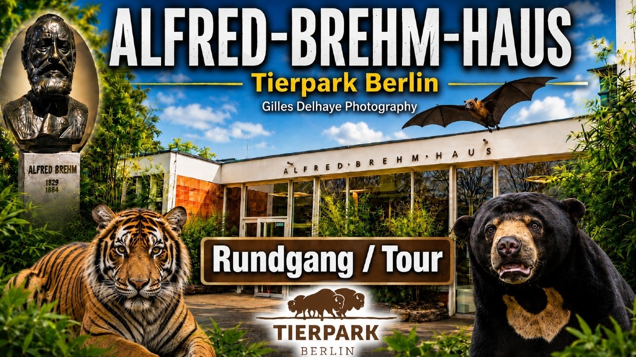 Alfred-Brehm Haus (Regenwald-Haus Rundgang - Rainforest House Tour) - Tierpark Berlin 2022