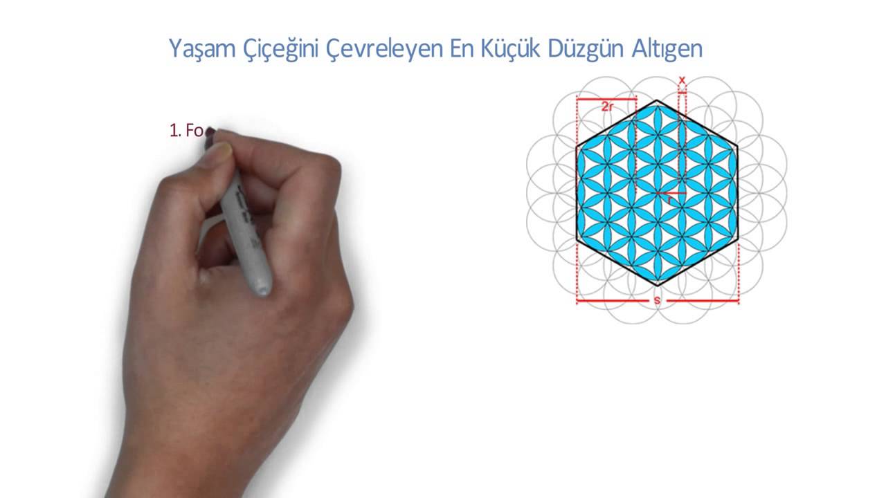 Yaşam Çiçeği ve Matematik (life of flower)