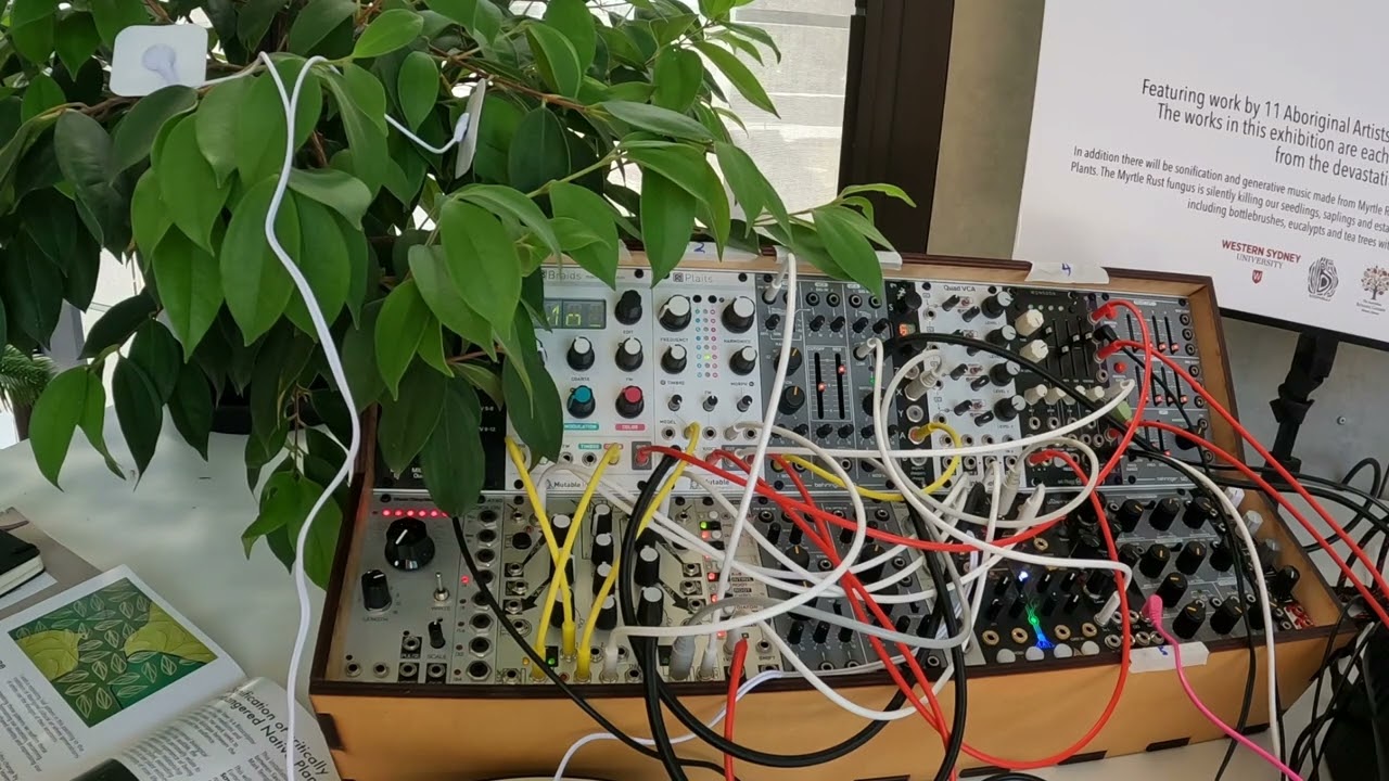 Generative Music made from a Critically Endangered Australian Native Plant (Long Version)