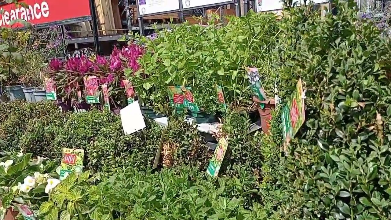 Indoor & Outdoor plants in B & Q Shopping centre//Layton B &Q// B &Q kitchen & Bathroom fittings/B&Q