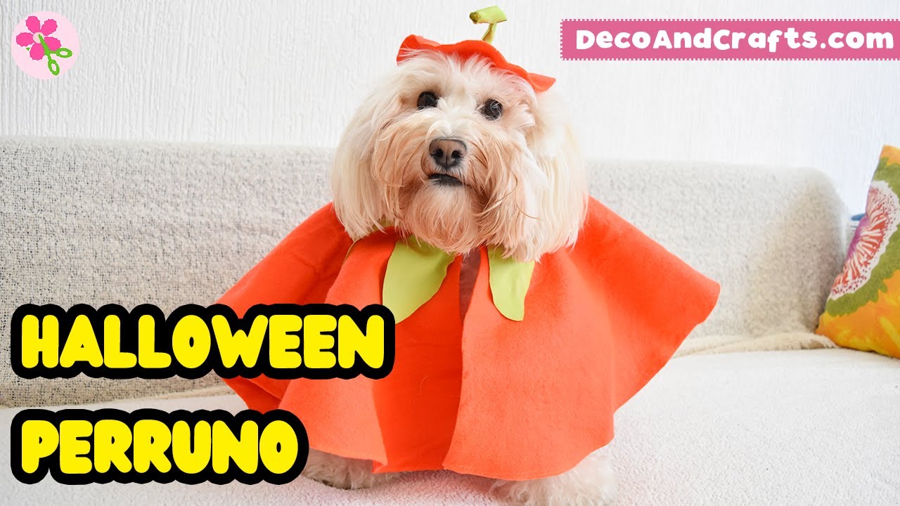3 DISFRACES para PERROS en Halloween | Ropa para perros DecoAndCrafts