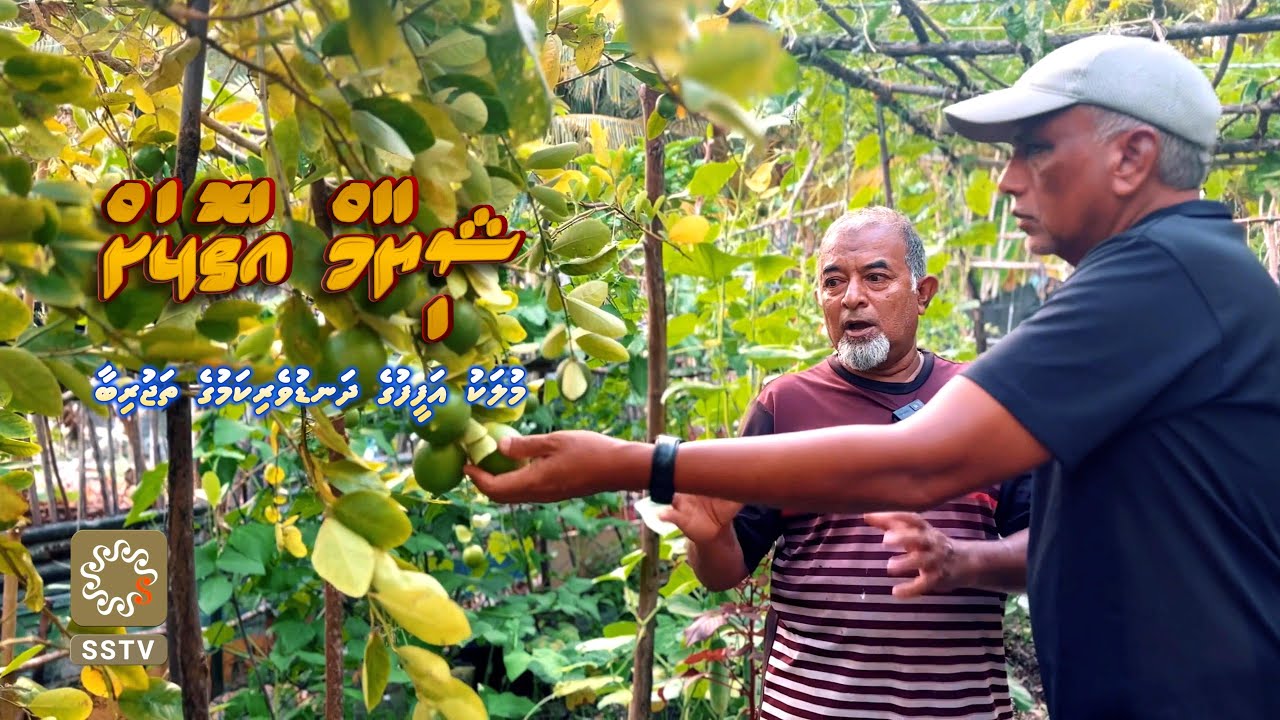 Shiyam Atholhah Season 2 M. Mulah