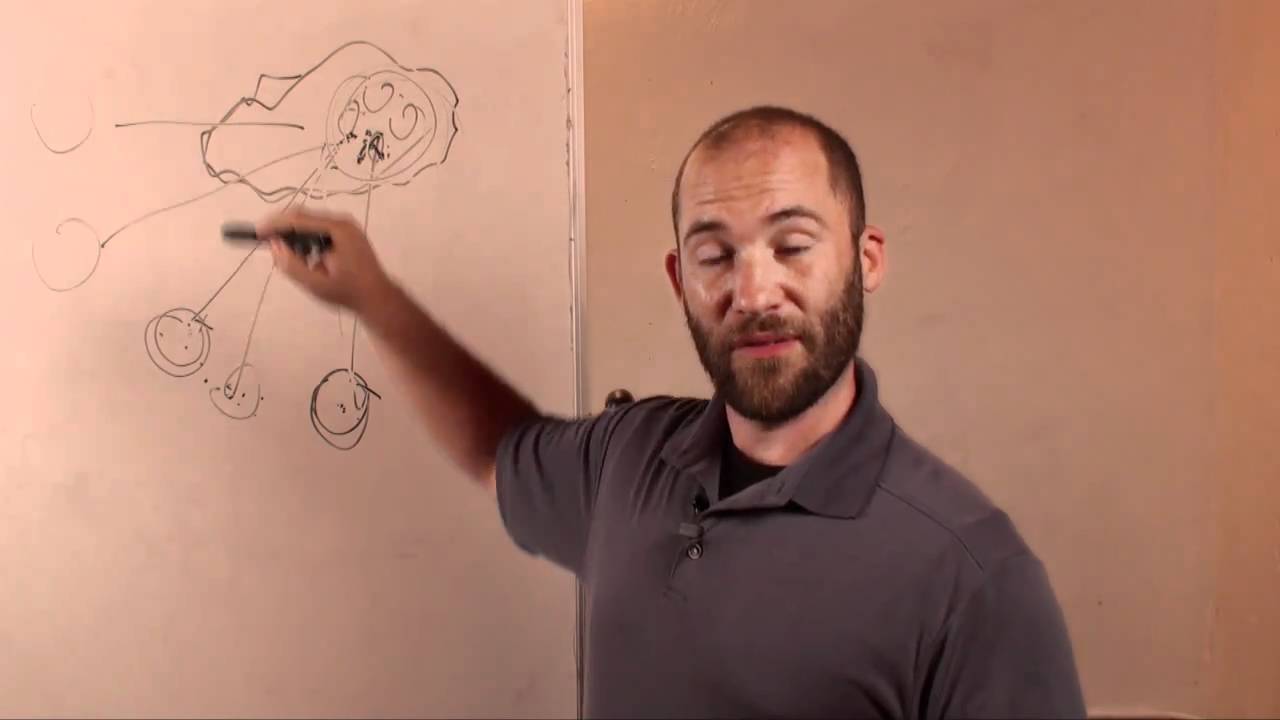 Sharing Files with Web Services