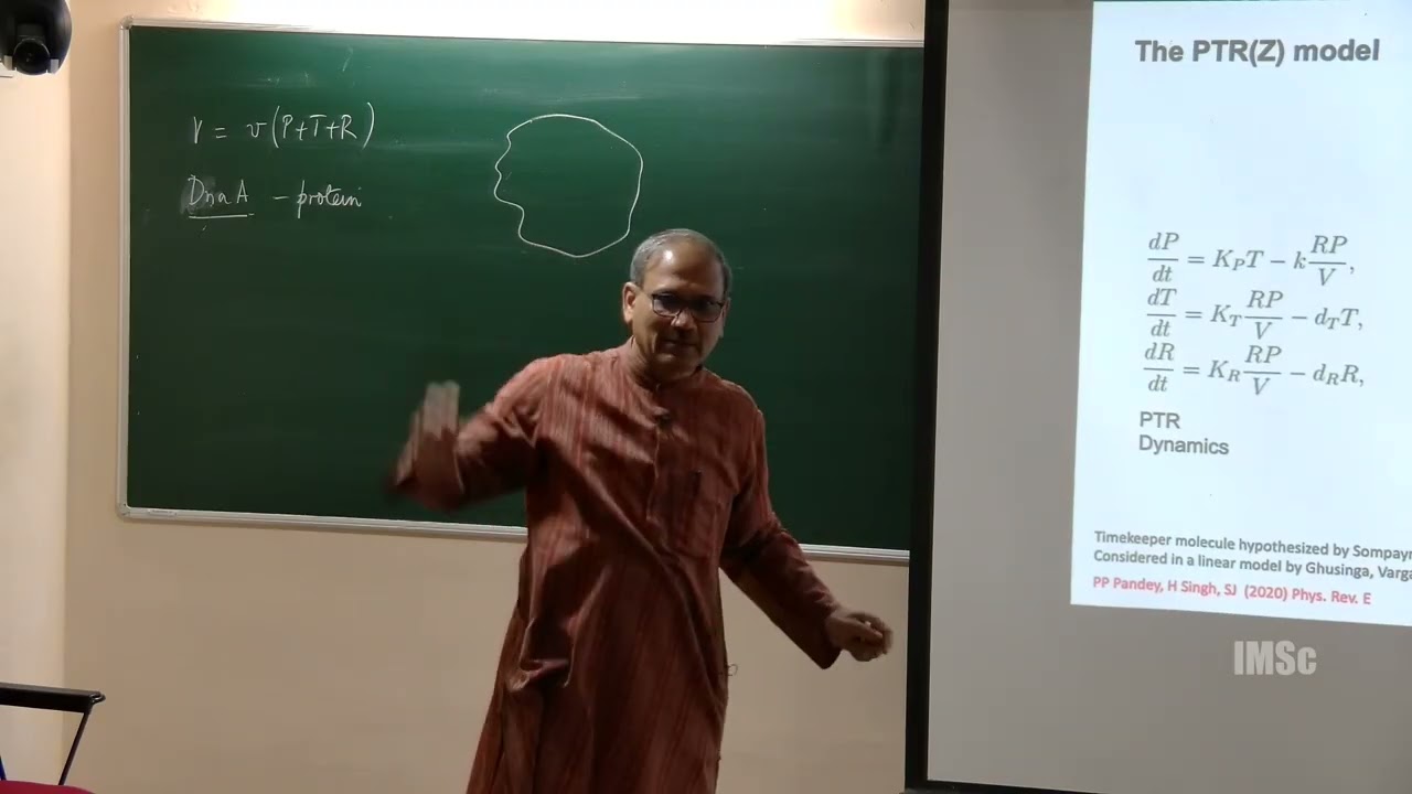 Bacterial growth division dynamics Empirical patterns and mathematical models V