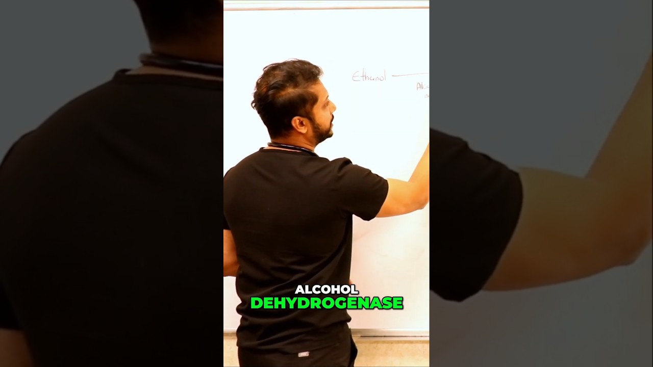 🤯 Alcohol in Your Body: How It Works! 😲