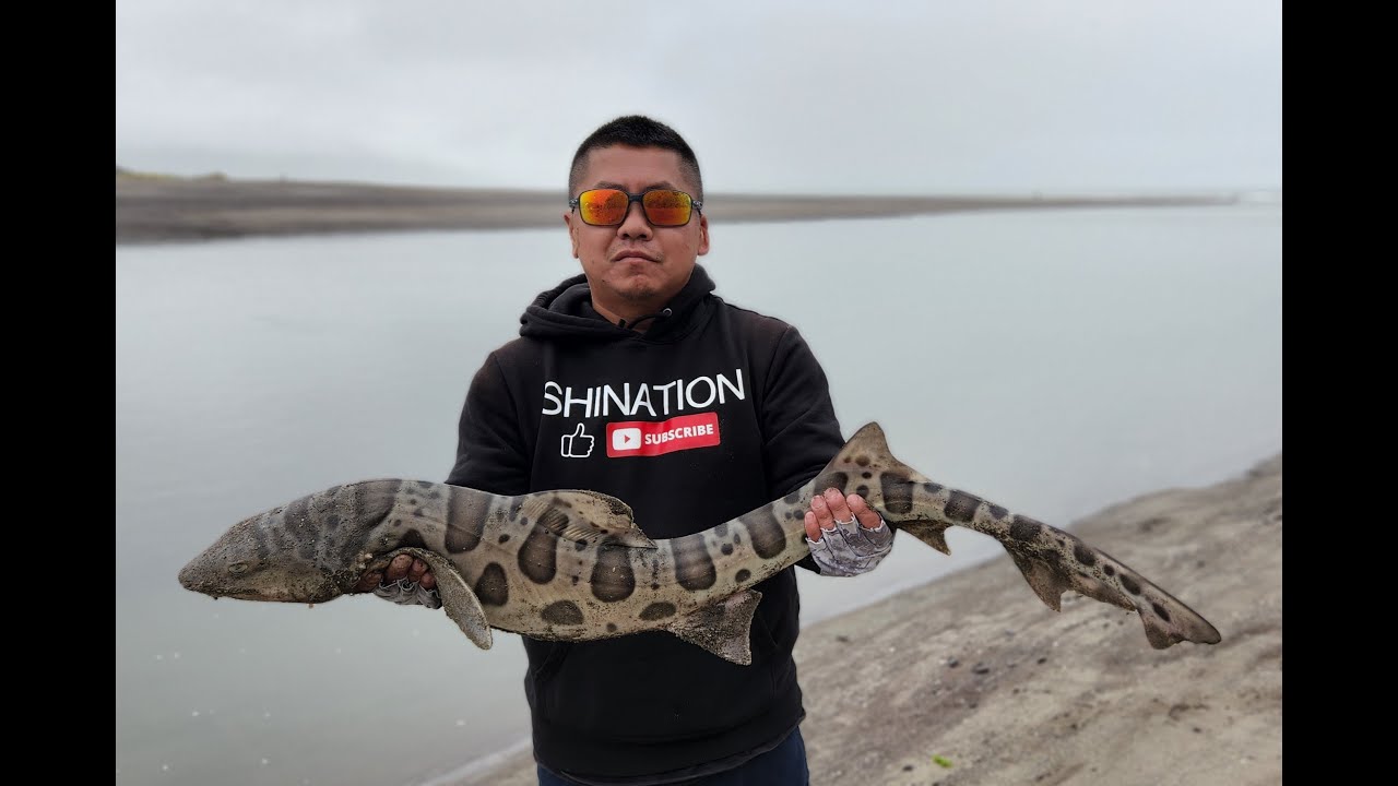Leopard shark and bat ray fishing at Stinson Beach
