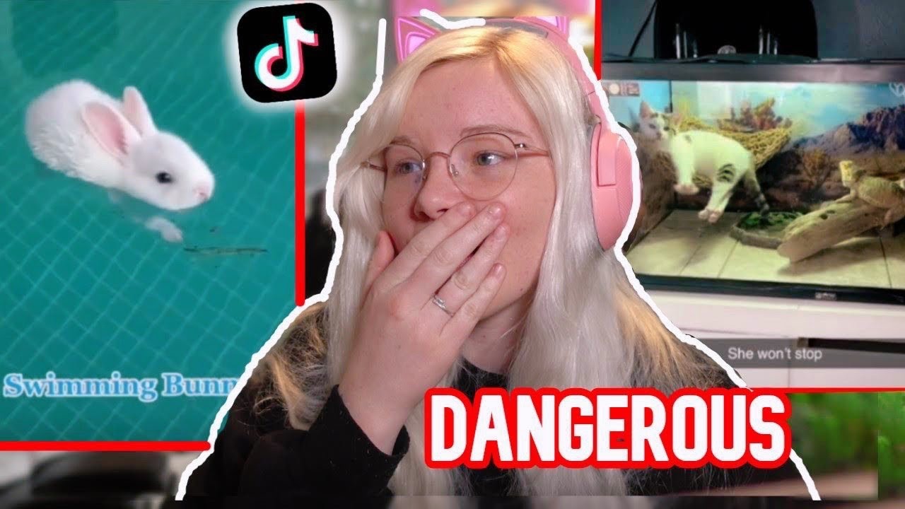 DANGEROUS PET TIKTOKS NEED TO STOP