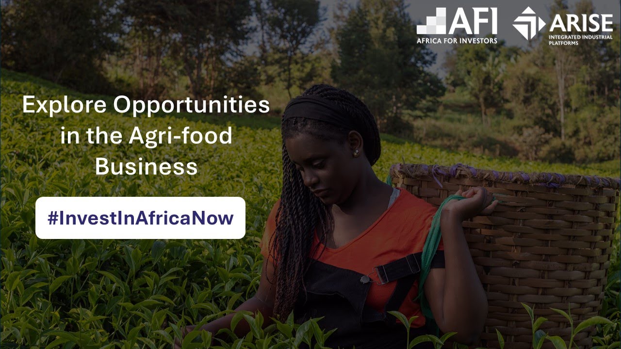 Agro-Processing Business Opportunities in Africa - Invest Now
