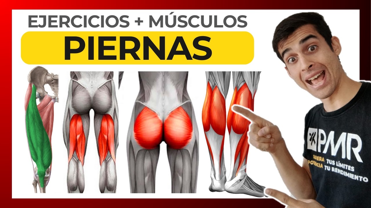 Principales MÚSCULOS de PIERNAS 💥 (y cómo entrenarlos correctamente)