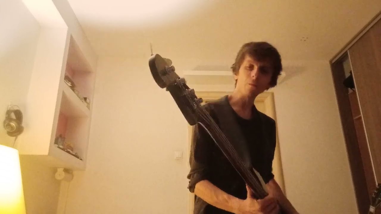 The Cure - Birdmad Girl (bass cover)