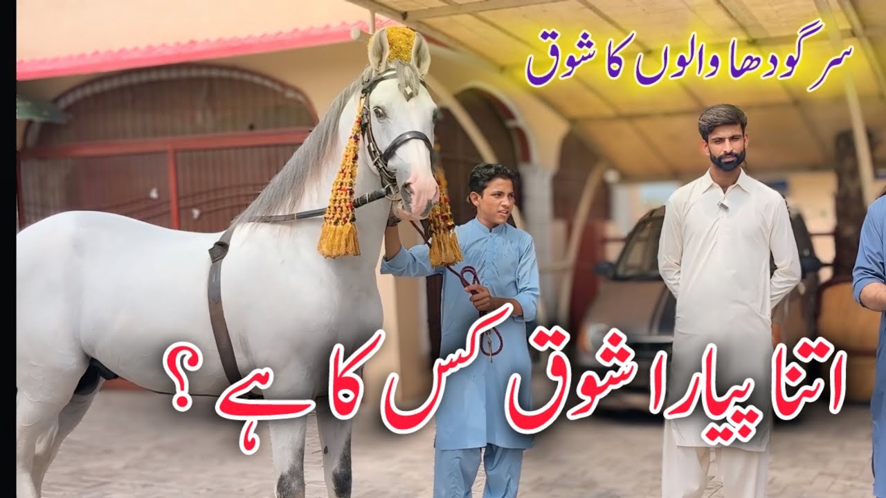 Beautiful Farmhouse in Sargodha