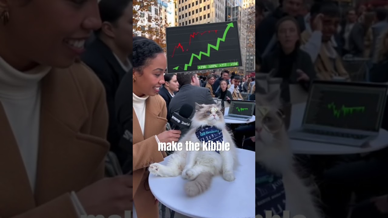 #cat