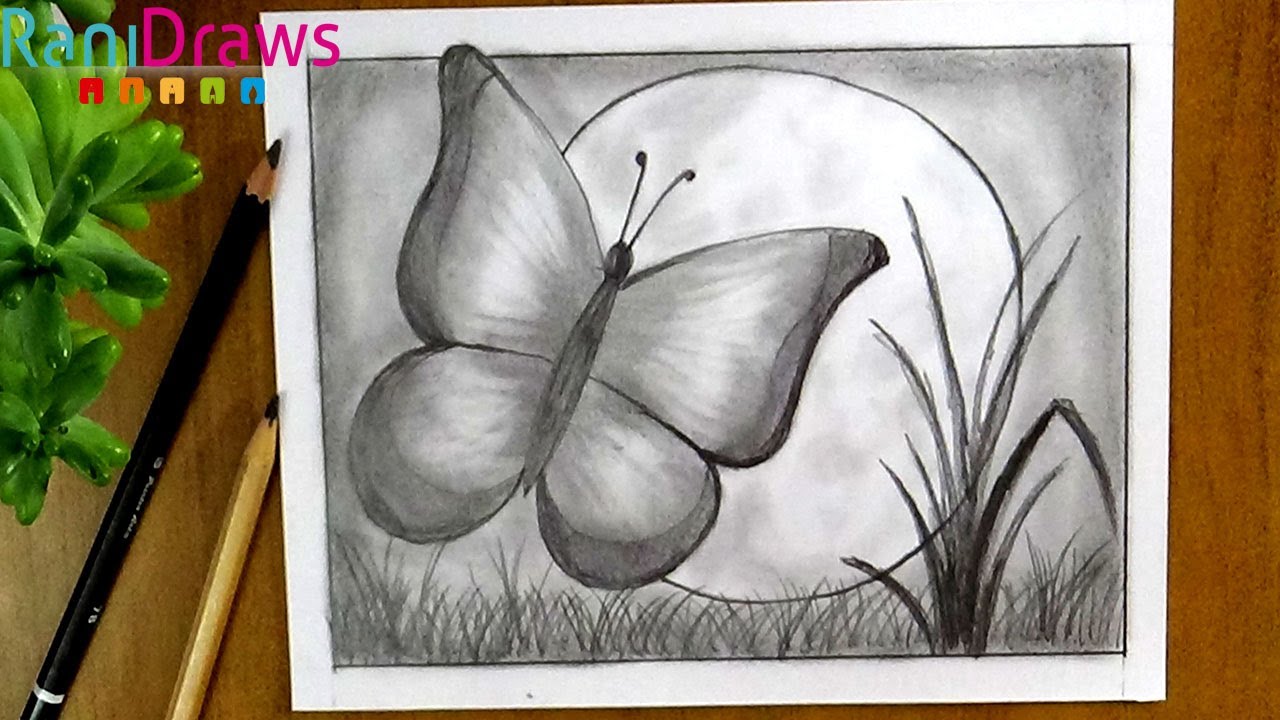 Cómo dibujar un PAISAJE (Mariposa) con LÁPIZ - Paso a paso