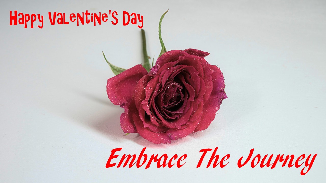 Happy Valentine’s Day ❤️ Sending Love, Kindness & Sweet Wishes | Embrace the Journey #valentinesday