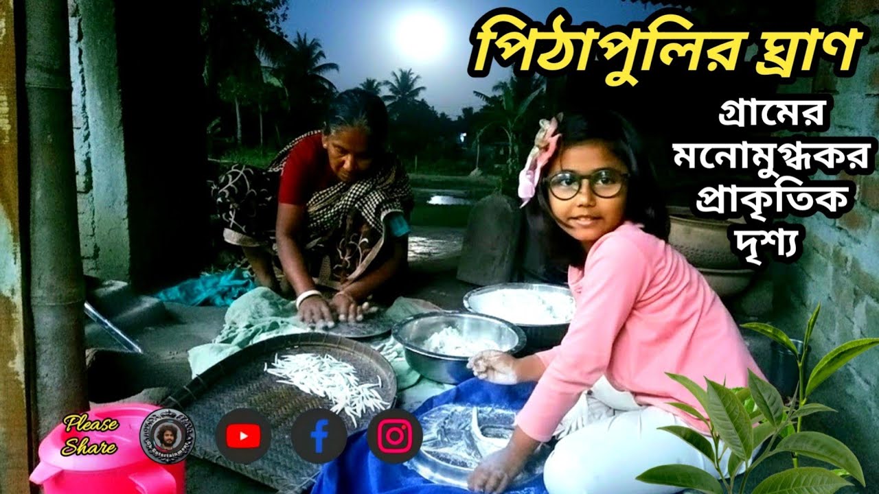 পিঠাপুলি || গ্রামের মনোমুগ্ধকর প্রাকৃতিক দৃশ্য || Pithapuli || Village beautiful Nature ||