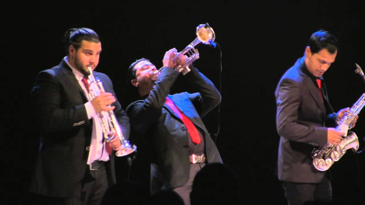 Sercuk Orkestar Errichetta Festival V - 1