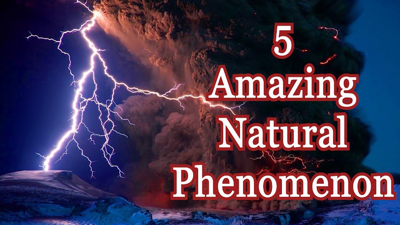 5 Amazing Natural Phenomenon That Happened On Earth
