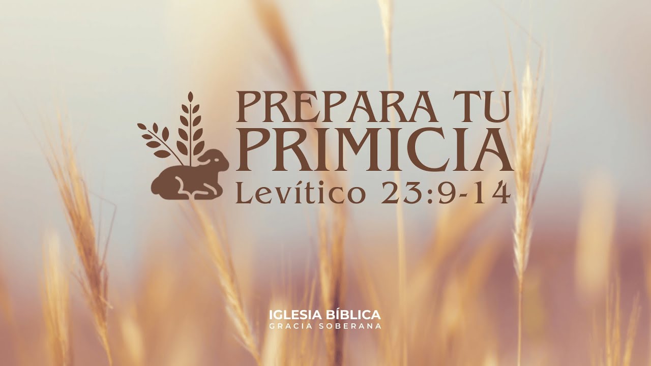 PREPARA TU PRIMICIA | Levítico 23: 9-14.