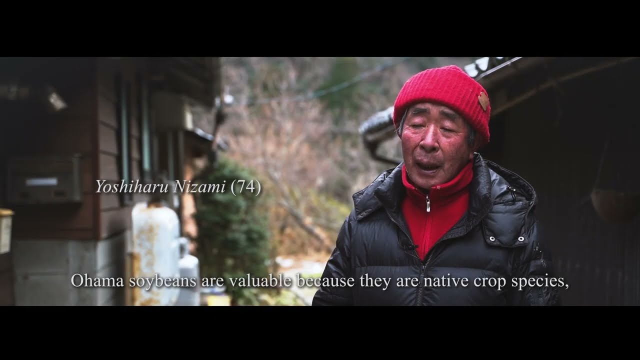 Ohama Soybeans &mdash; Passing Down Traditional Knowledge (Noto's Satoyama & Satoumi)