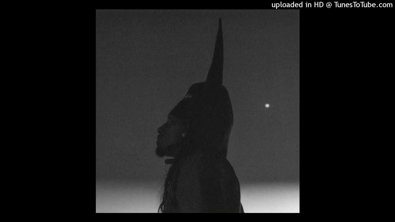 [FREE] *HARD* Playboi Carti + Music + cardo type beat 