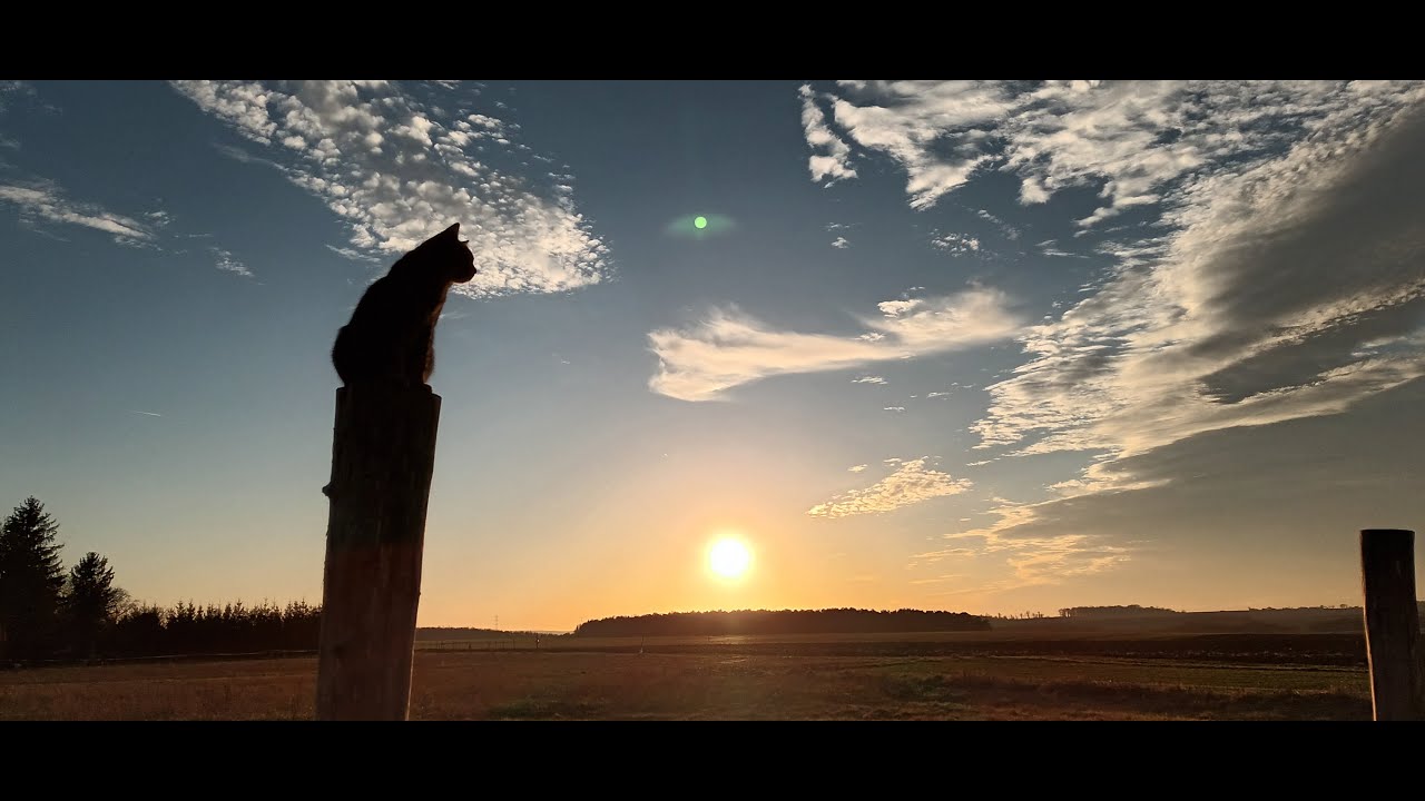 Takáts Eszter - Molnár Zoltán: Éjjel (Petőfi Sándor versére)