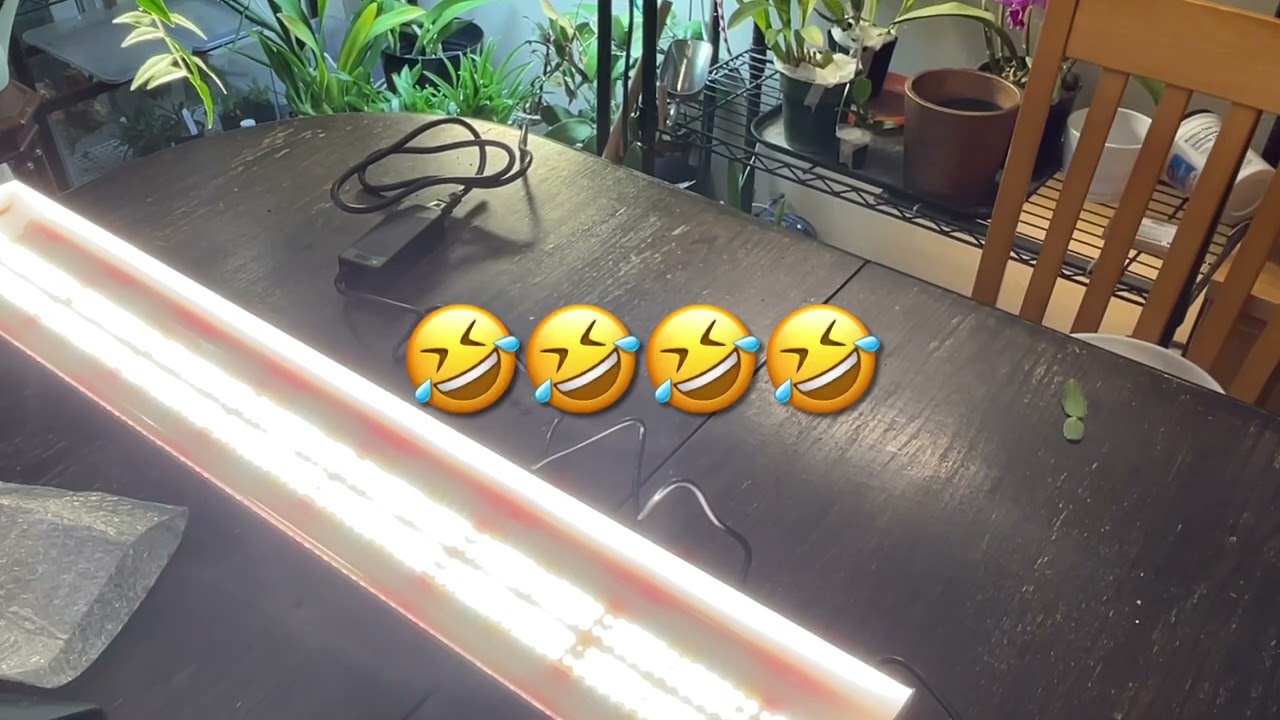 Unboxing Spider Farmer SF600!