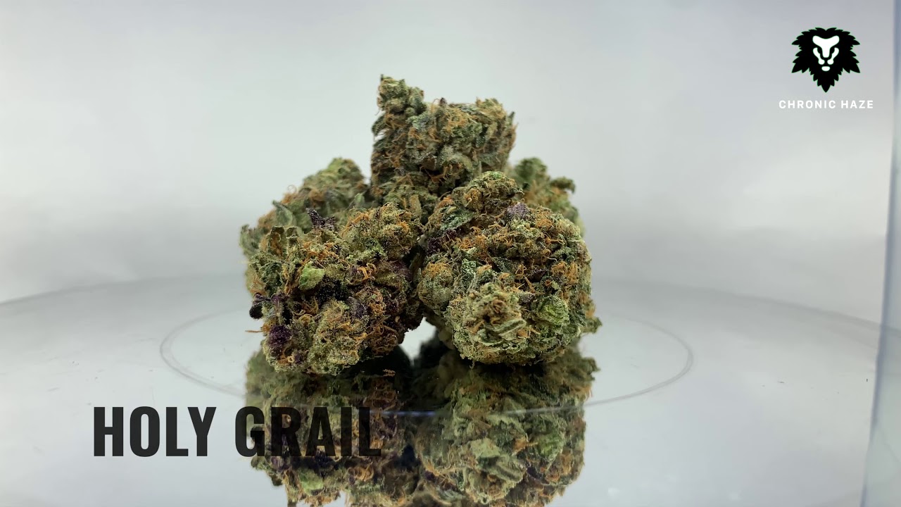 Chronic Haze - Holy Grail