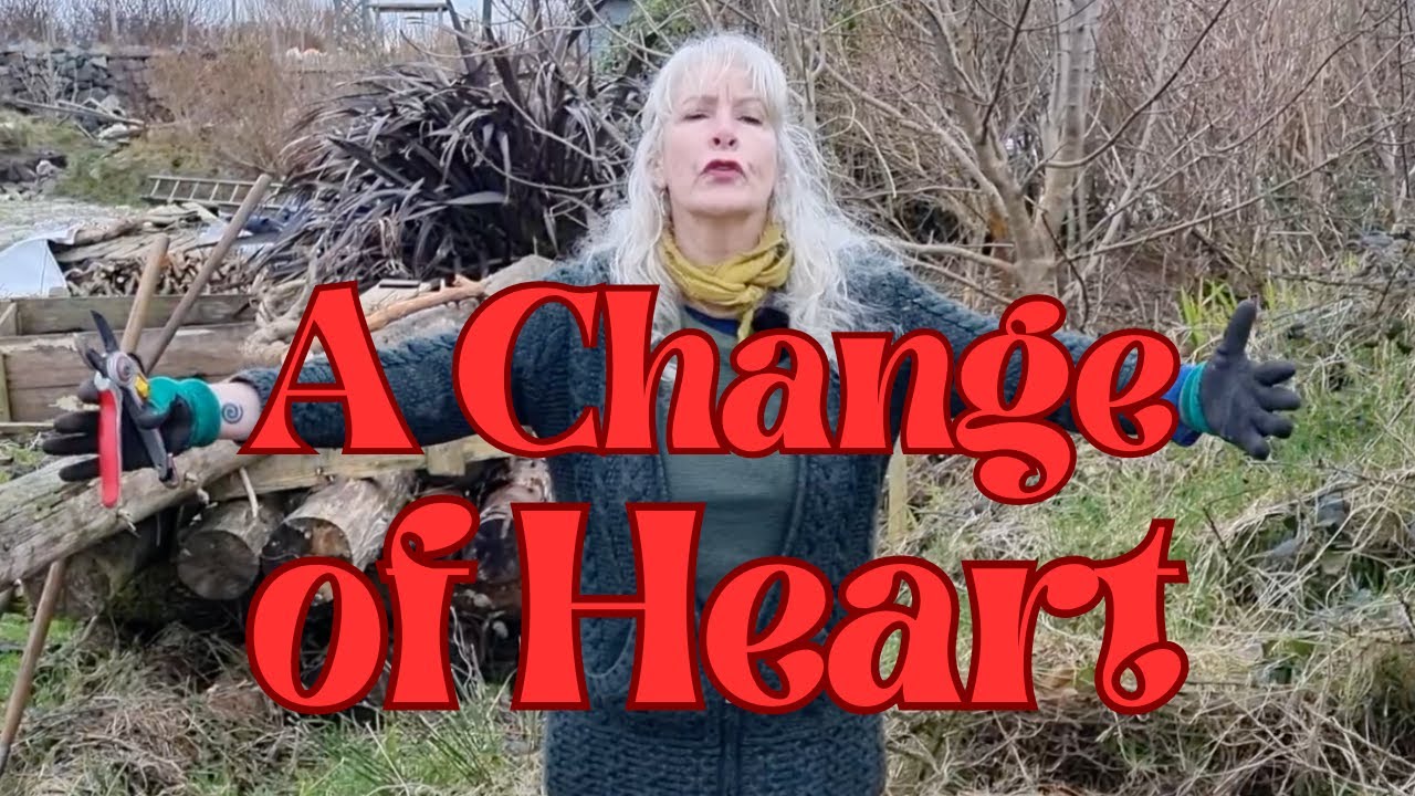 A Change of Heart