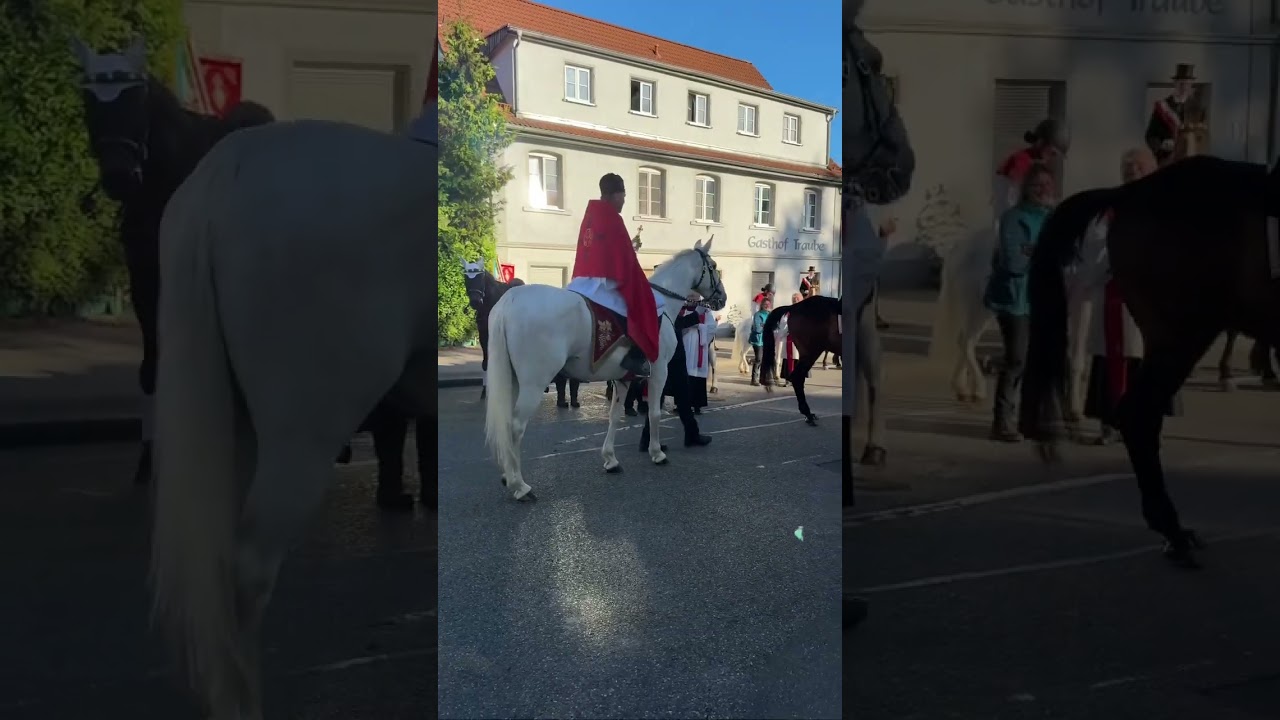 🎥 Blutritt Weingarten 2025 &ndash; 2000 Reiter, 96 Kapellen & pure G&auml;nsehaut! 🇩🇪🐎🎺