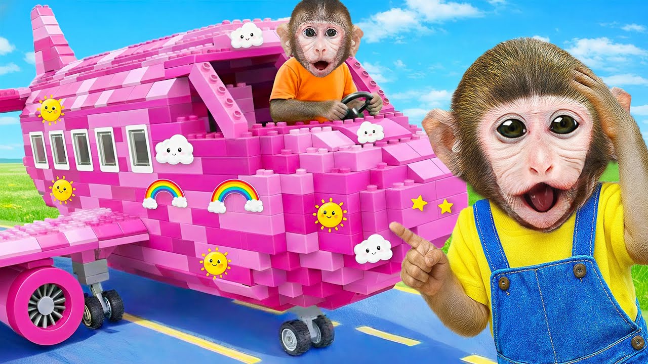 Doctor MoMo Caring for Baby Monkey & Fixing the Airplane | MoMo Monkey Life