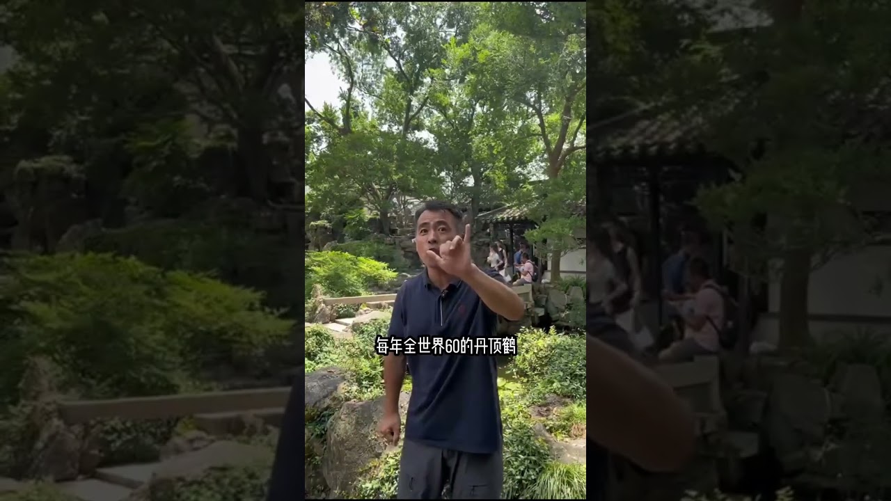 这座城市的专属宠爱来啦！老屈翻牌子了～#旅游 #历史古迹 #历史故事