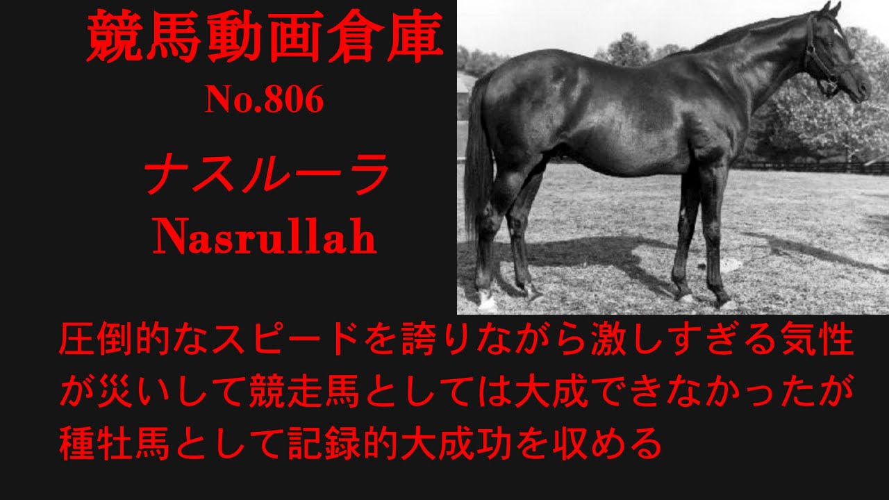 【競馬】ナスルーラ　Nasrullah【No806】