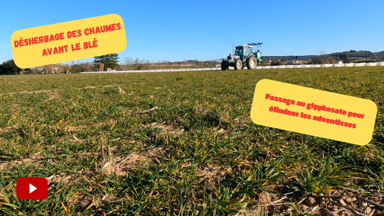 Le traitement au Glyphosate