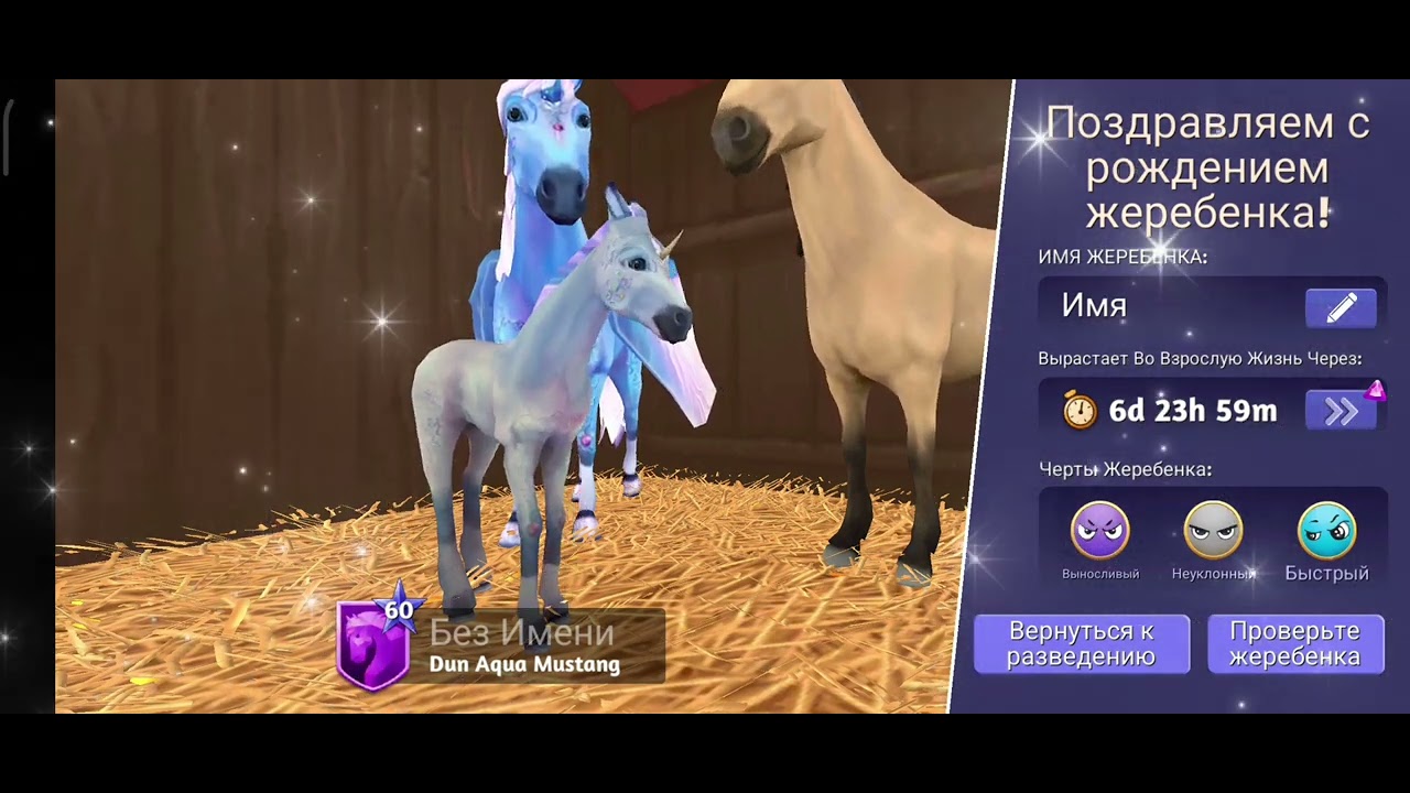 🦄
