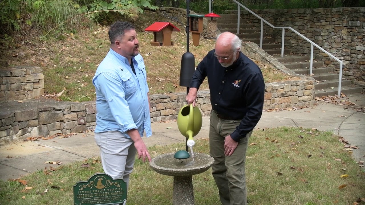 Save the Song Birds & Certify Your Yard - Water | Wild Birds Unlimited