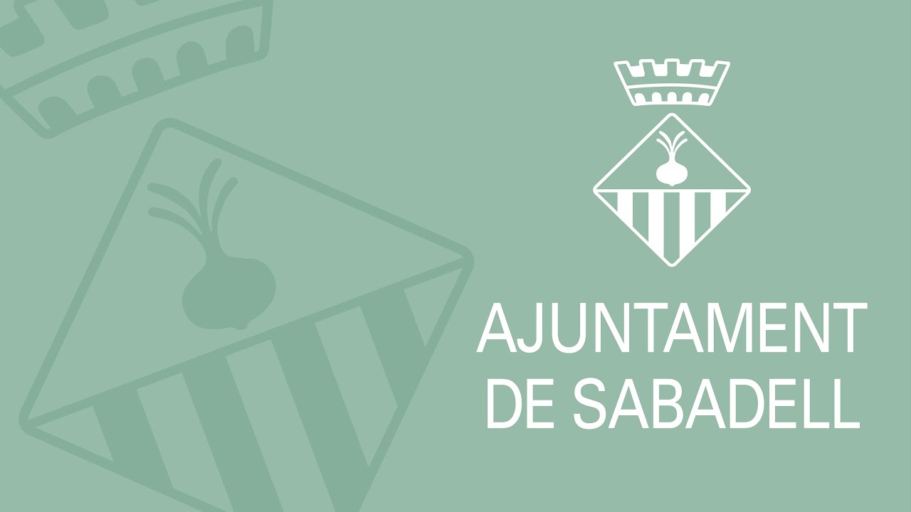 Ple extraordinari - 10 d'octubre de 2025