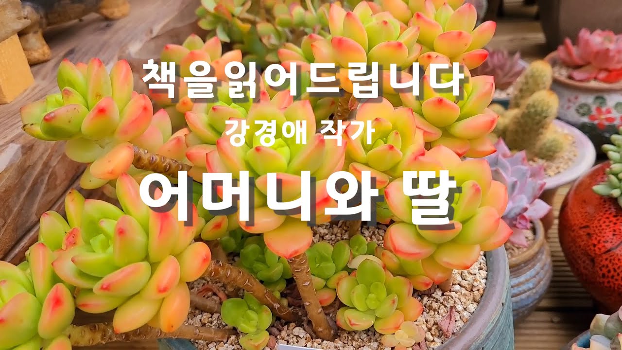 잠들기전 ASMR [장편소설오디오북]어머니와 딸| 강경애 작품 |감동의 서사시