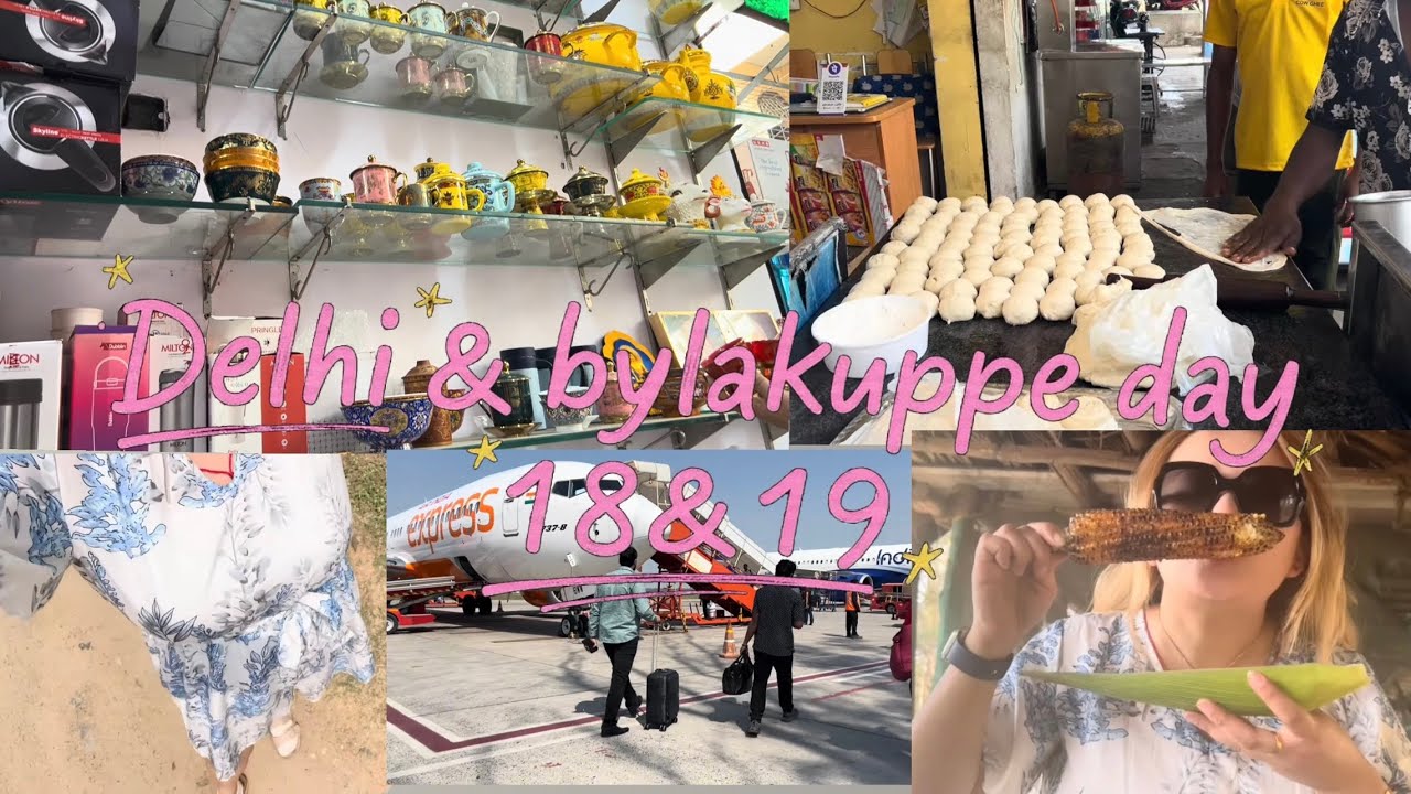 Leaving Delhi…. Back to Bylakuppe | Lingkor Camp 4 | India vlog day 18 & 19
