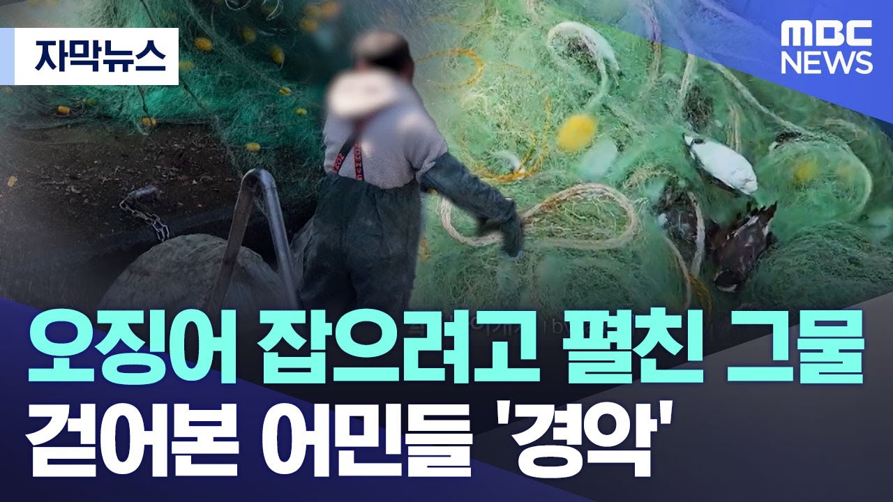 [자막뉴스] 오징어 잡으려고 펼친 그물.. 걷어본 어민들 '경악' (MBC뉴스)