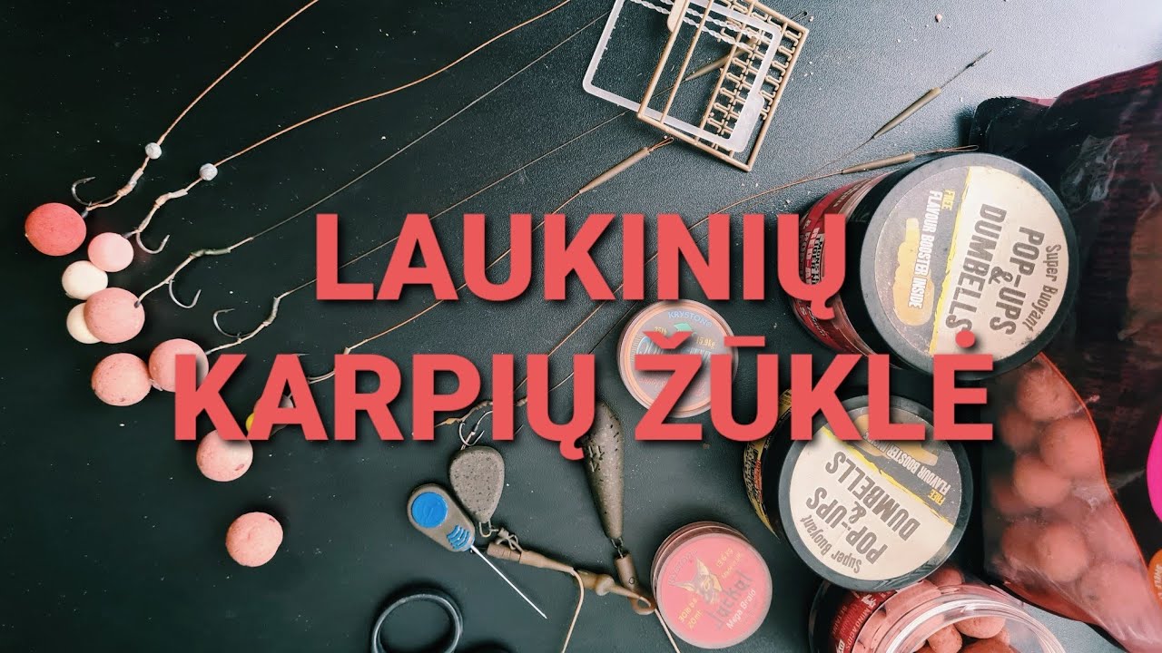 LAUKINIŲ KARPIŲ ŽŪKLĖ (1 dalis)