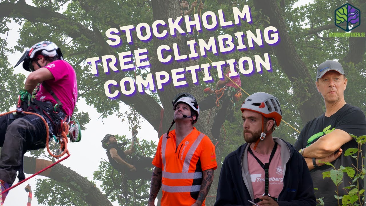 Arborist Tree Climbing Competition | Highlights