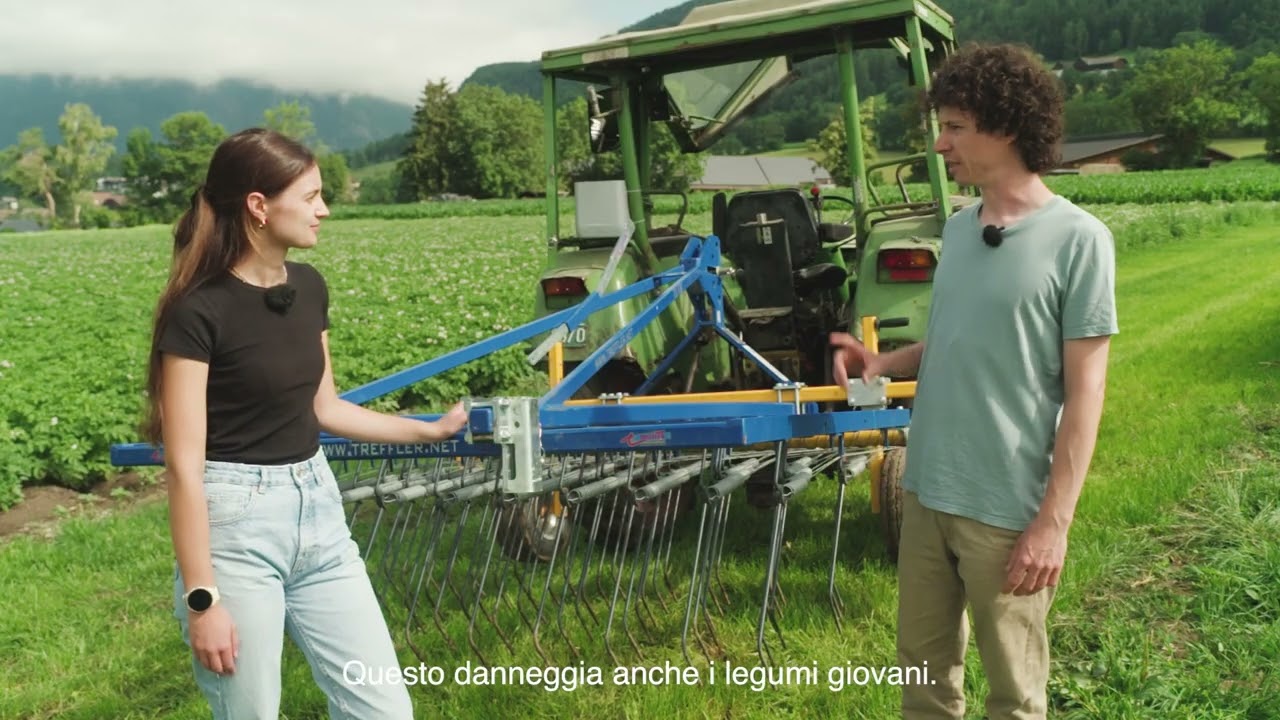 Coltivazione di legumi - innovazione in agricoltura