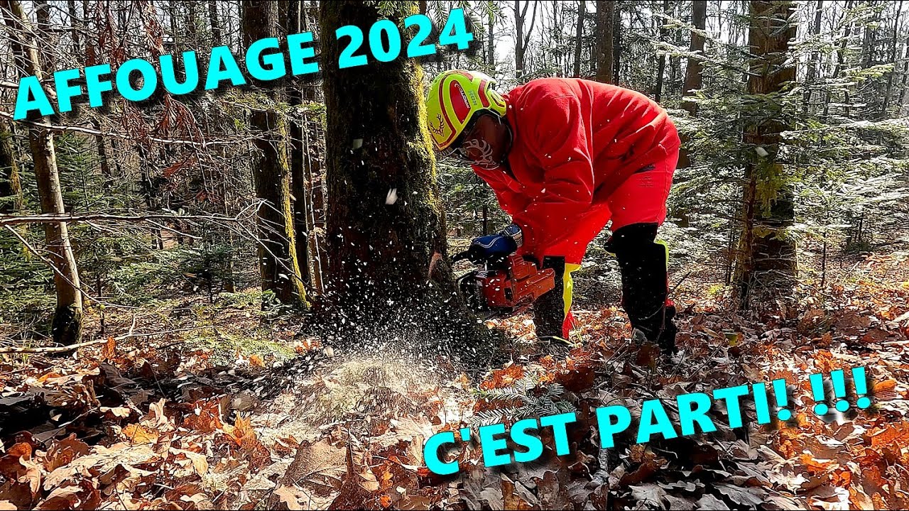 [EN MODE BUCHERON] AFFOUAGE 2024 c'est parti !!!! 🪚🌳🪓🌲