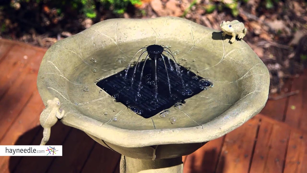 Smart Solar Acadia Frog Solar Bird Bath - Product Review Video