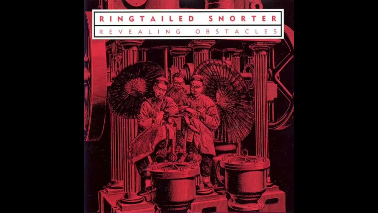 Ringtailed Snorter - No Chances