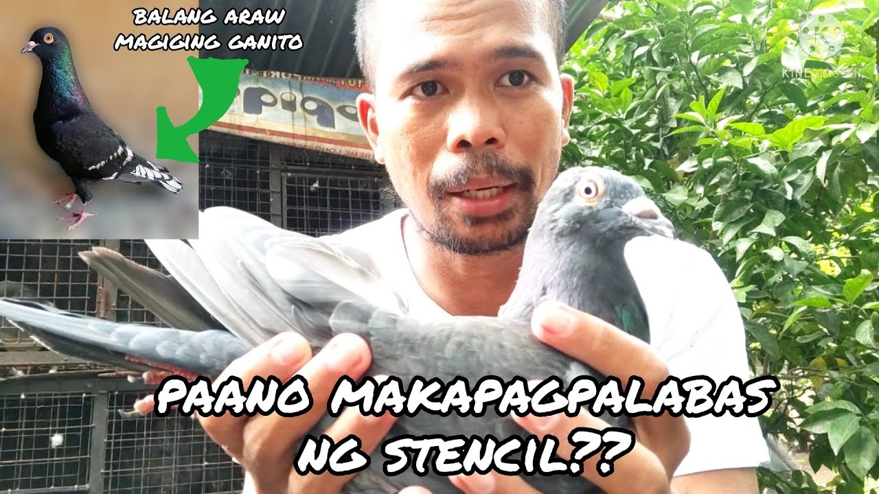 Paano magpalabas ng stencil? ( how to create stencil?)