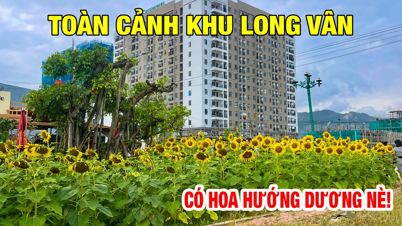 TOÀN CẢNH KHU LONG VÂN (QUY NHƠN) HIỆN NAY | QUÁ NHỘN NHỊP