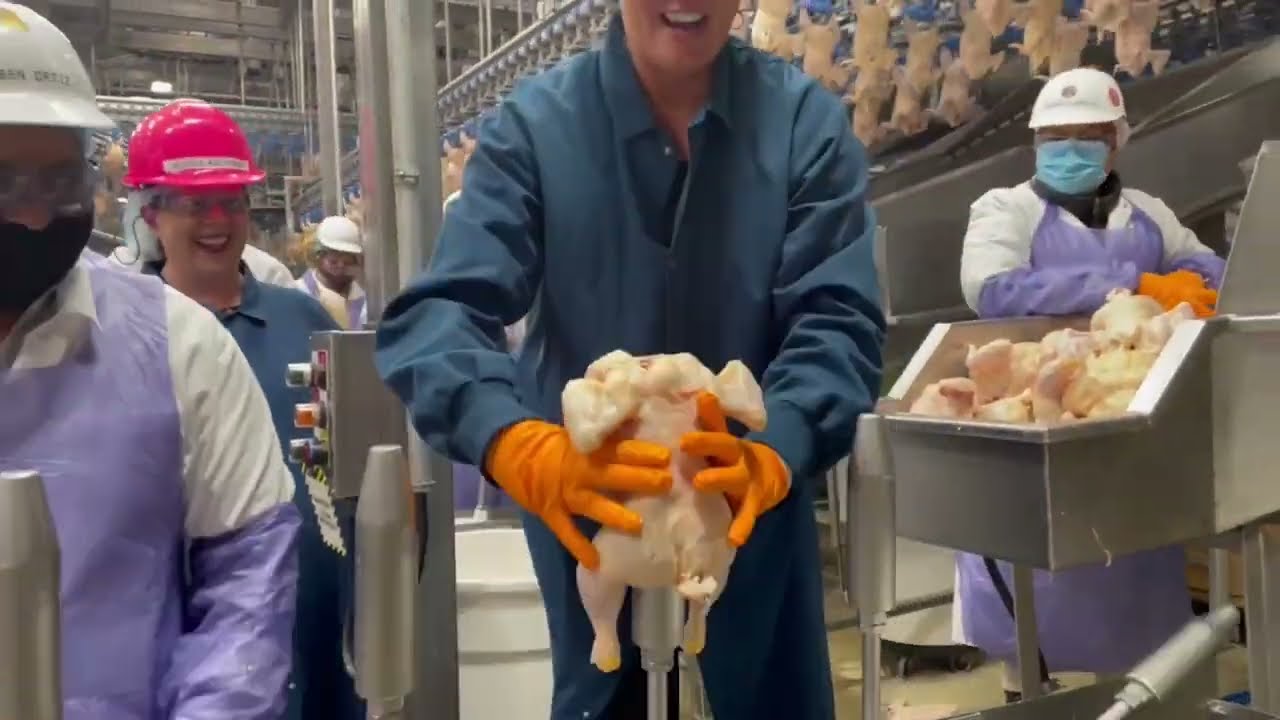 Lincoln Premium Poultry Wanna Work Wednesday