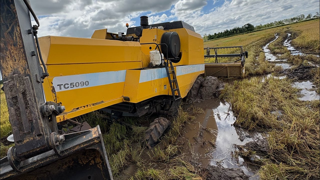 DESATOLANDO COLHEDEIRA BANHADO DE ARROZ 🌾🛑
