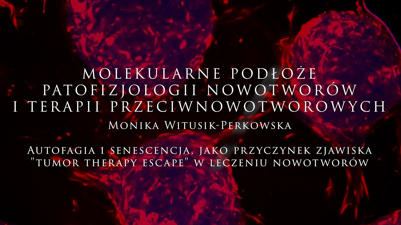 Autofagia i senescencja, jako przyczynek zjawiska 